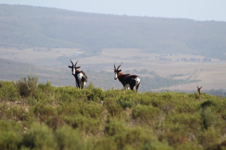  Bedroom Property for Sale in Mossel Bay Rural Western Cape